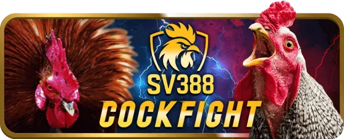 Mẹo chơi bắn cá 78vin win hiệu quả từ chuyên gia